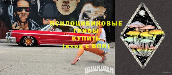 винт Медвежьегорск