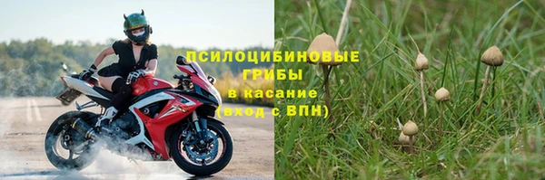 2c-b Горнозаводск