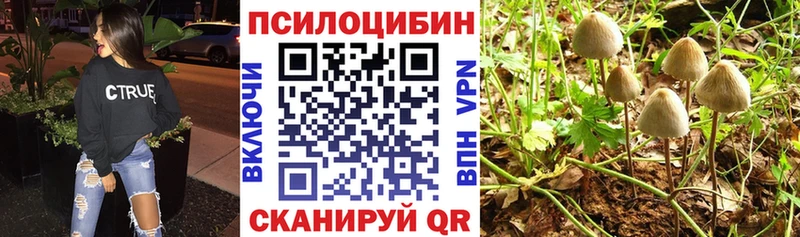 Галлюциногенные грибы Magic Shrooms  блэк спрут как зайти  Данилов 